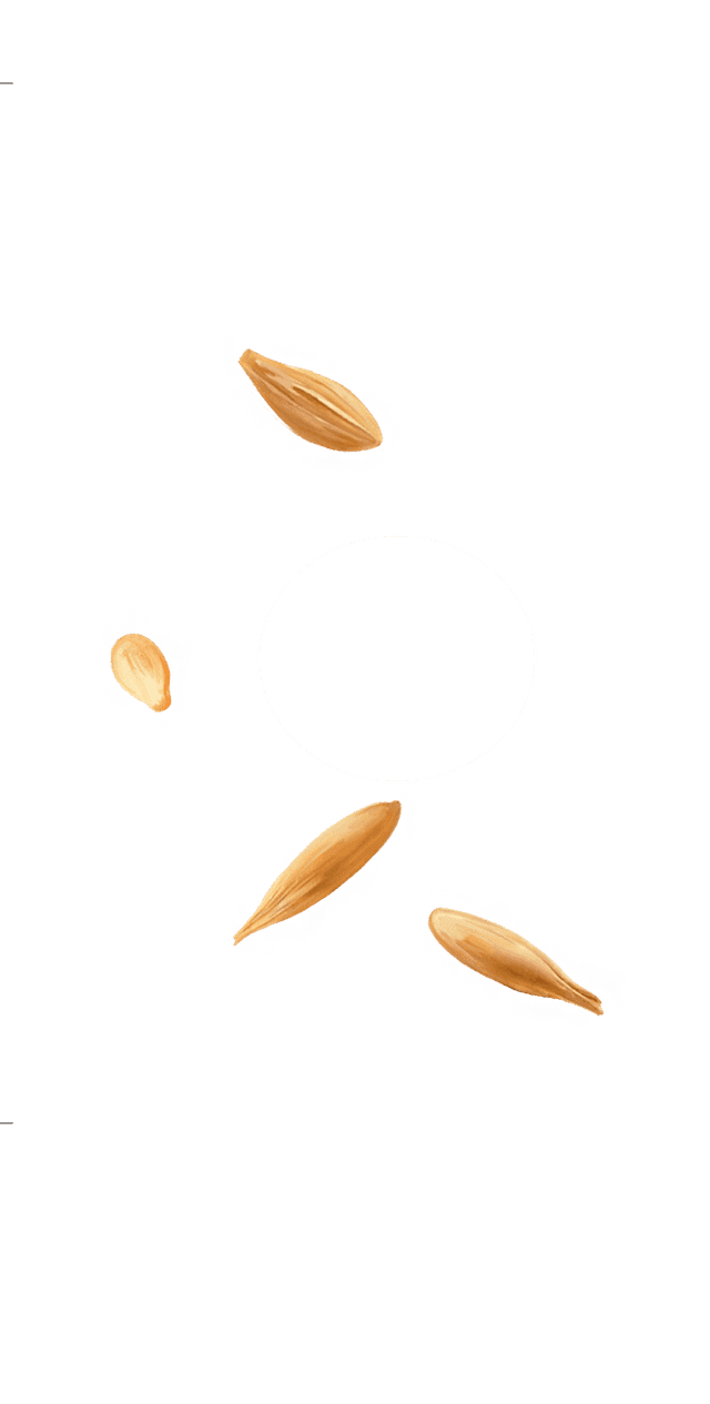 grains