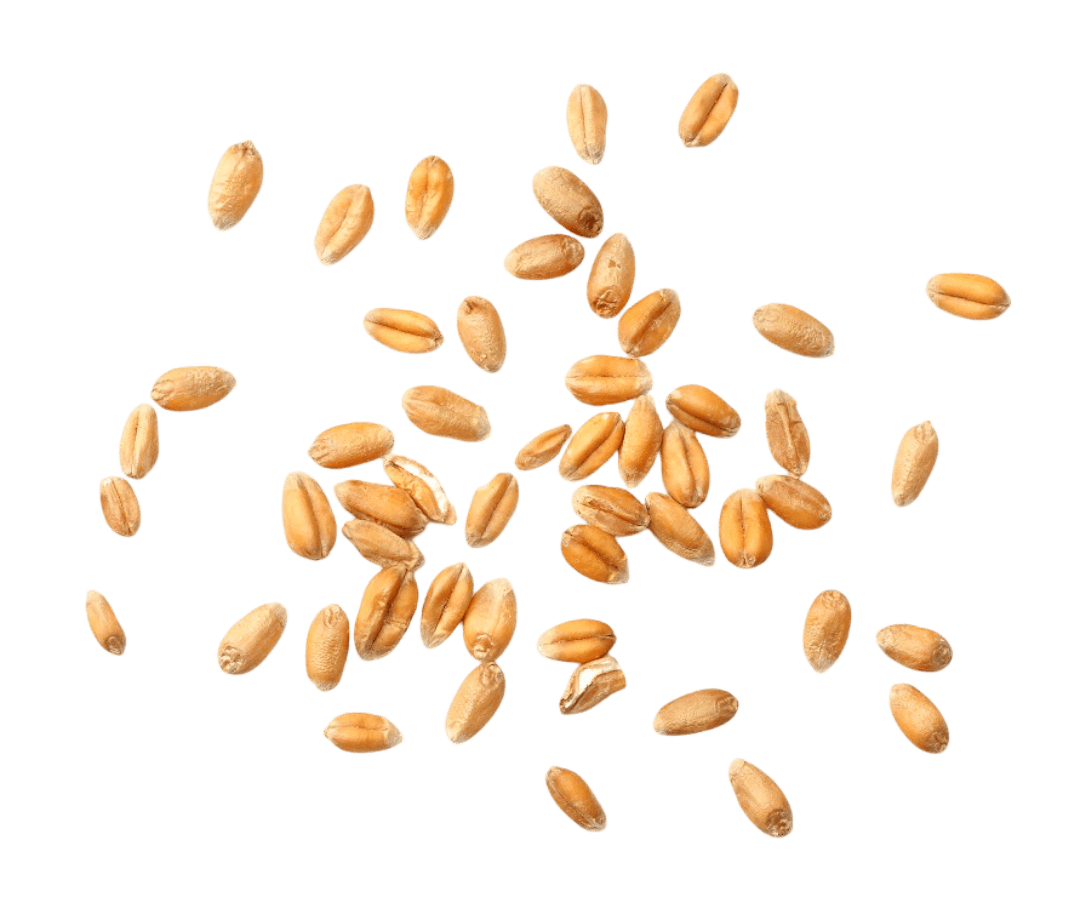 grains